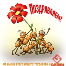 Схема вышивки «муравьи»