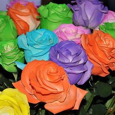 Схема вышивки «розы»