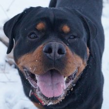 Схема вышивки «Саби 3»