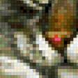 Предпросмотр схемы вышивки «котик 2» (№798017)