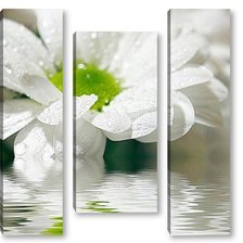 Схема вышивки «№798019»