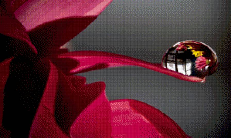 №798024 - предпросмотр