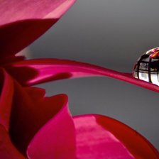 Схема вышивки «№798024»