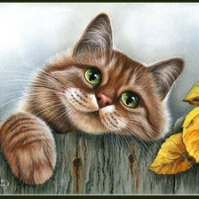 Схема вышивки «котик 1-2»