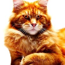 Схема вышивки «а»