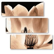 Схема вышивки «№798031»