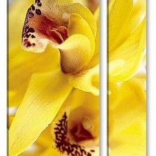 Схема вышивки «№798036»