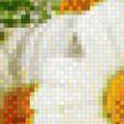 Предпросмотр схемы вышивки «Ромашки» (№798037)