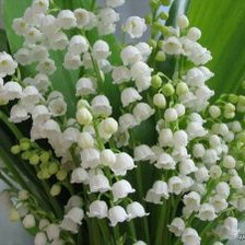 Схема вышивки «Лндыши»