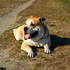 Схема вышивки «ка де бо»