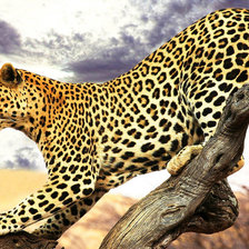 Схема вышивки «Леопард»