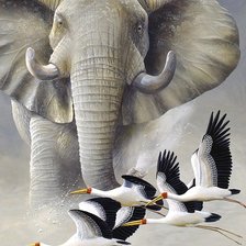 Схема вышивки «№798444»