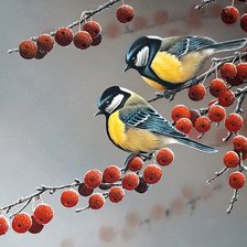 Схема вышивки «№798453»