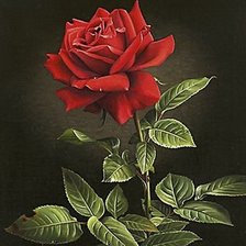 Схема вышивки «№798455»