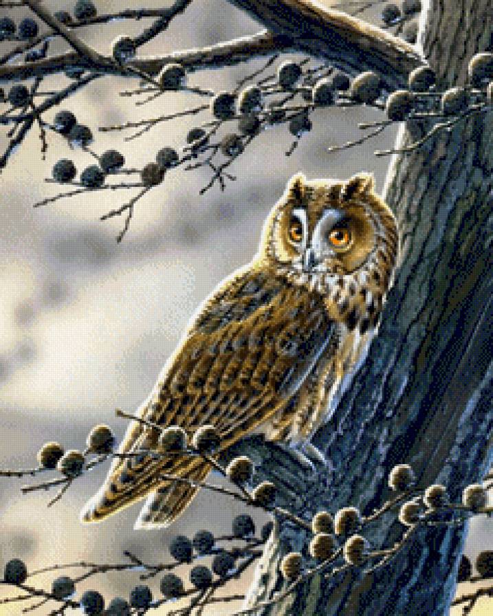 №798460 - предпросмотр