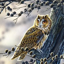 Схема вышивки «№798460»