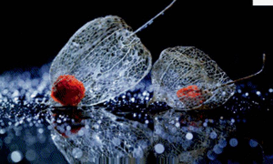 №798473 - предпросмотр