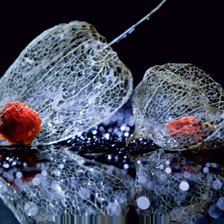 Схема вышивки «№798473»