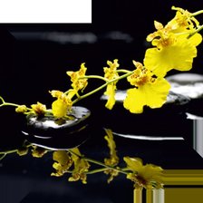 Схема вышивки «№798489»