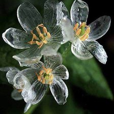 Схема вышивки «№798491»