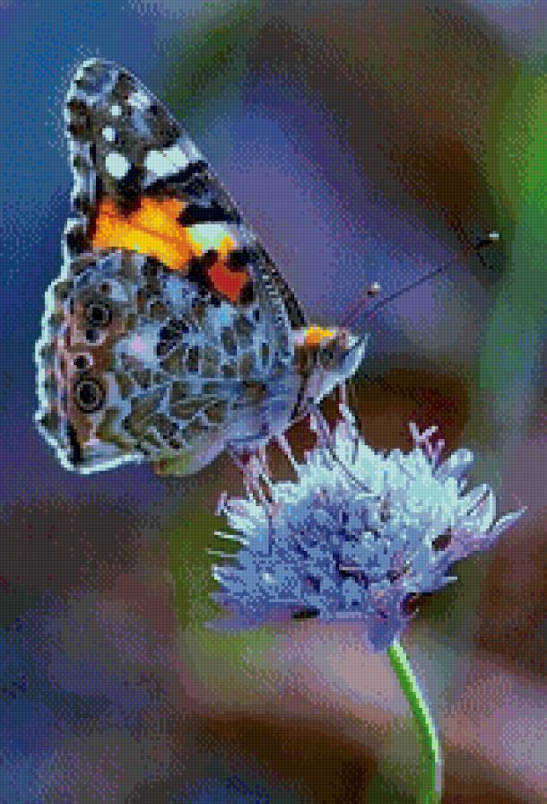 №798493 - предпросмотр