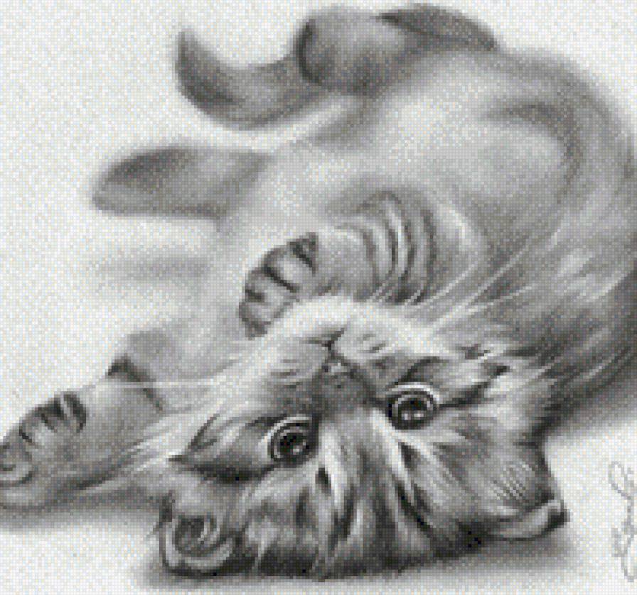 котенок - животное, котенок - предпросмотр