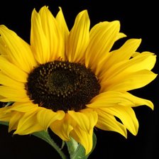 Схема вышивки «под»