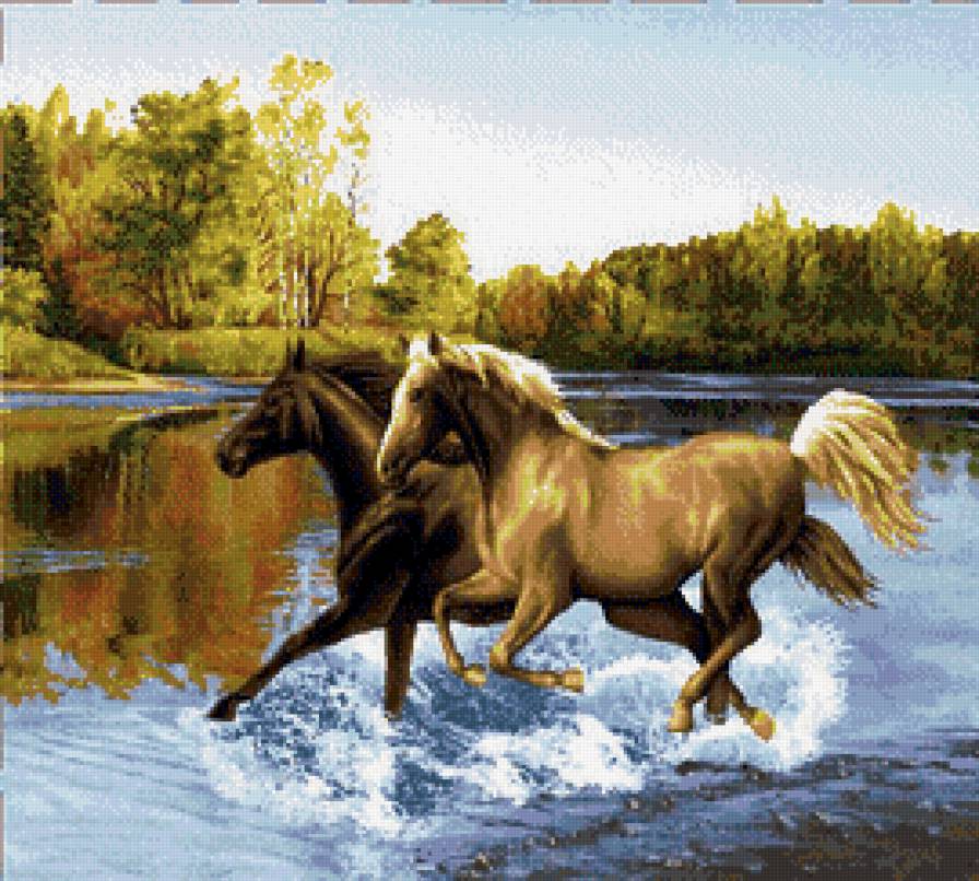 Лошади - животные, кони - предпросмотр