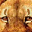 Предпросмотр схемы вышивки «львы» (№799092)