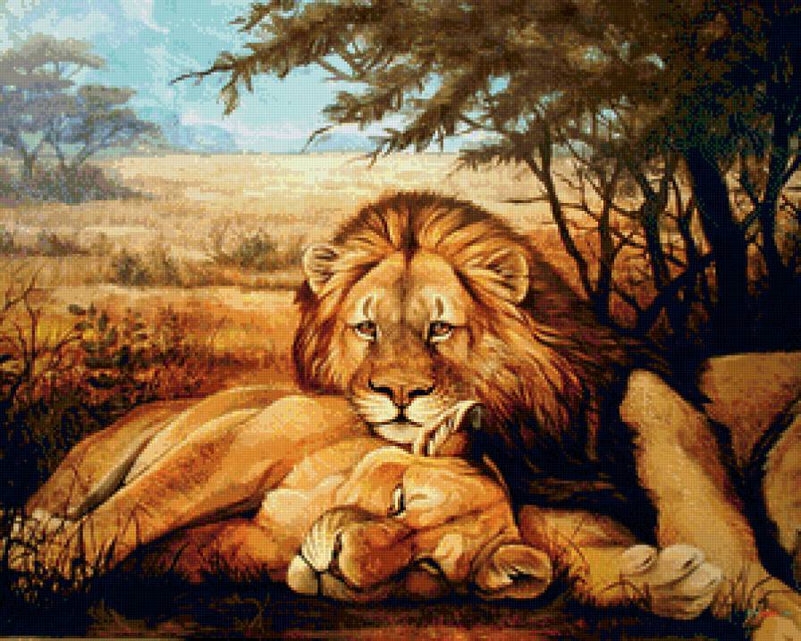 львы - предпросмотр