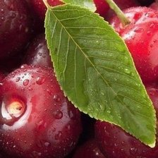 Схема вышивки «vishenka»