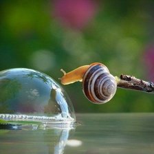 Схема вышивки «ulitka»