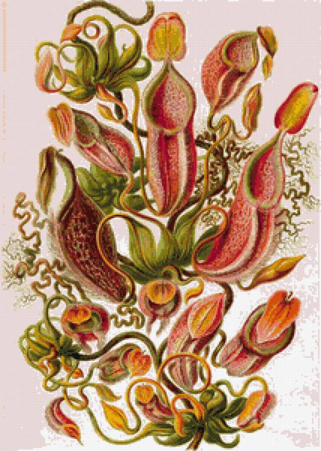 №799190 - фэнтези, букет, орнамент - предпросмотр