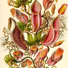 Схема вышивки «№799190»