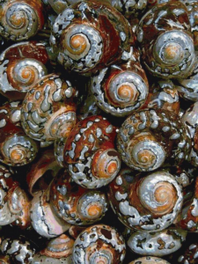 Ракушки - море, панно - предпросмотр