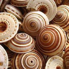 Схема вышивки «Ракушки»