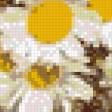 Предпросмотр схемы вышивки «Ромашки» (№799398)