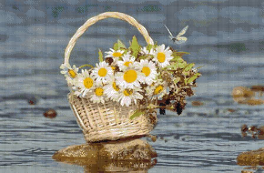 Ромашки - цветы - предпросмотр