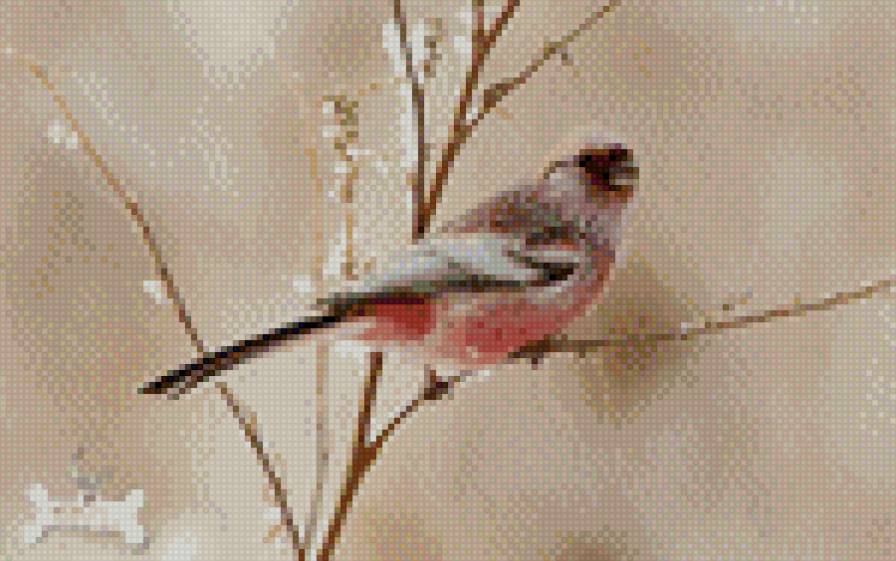 Птичка - предпросмотр