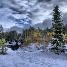 Схема вышивки «зимний лес»