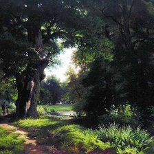 лесная тропа