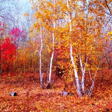 Схема вышивки «золото осени»