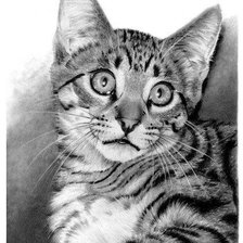 Схема вышивки «киса»