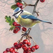 Схема вышивки «№800095»