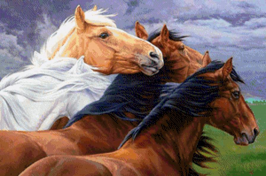 №800109 - предпросмотр