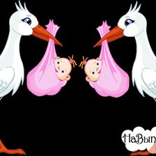 Схема вышивки «близняшки»