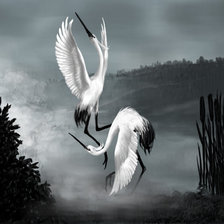 Схема вышивки «танец любви»