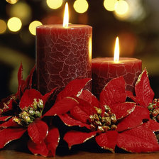 Схема вышивки «Рождественская пуансетия»