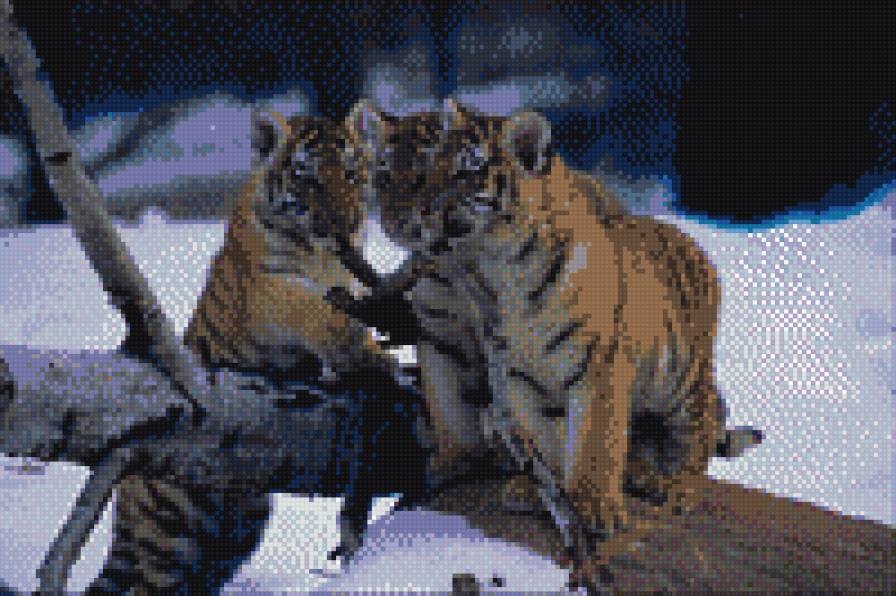 Тигрята - предпросмотр