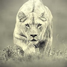 Схема вышивки «на охоте»